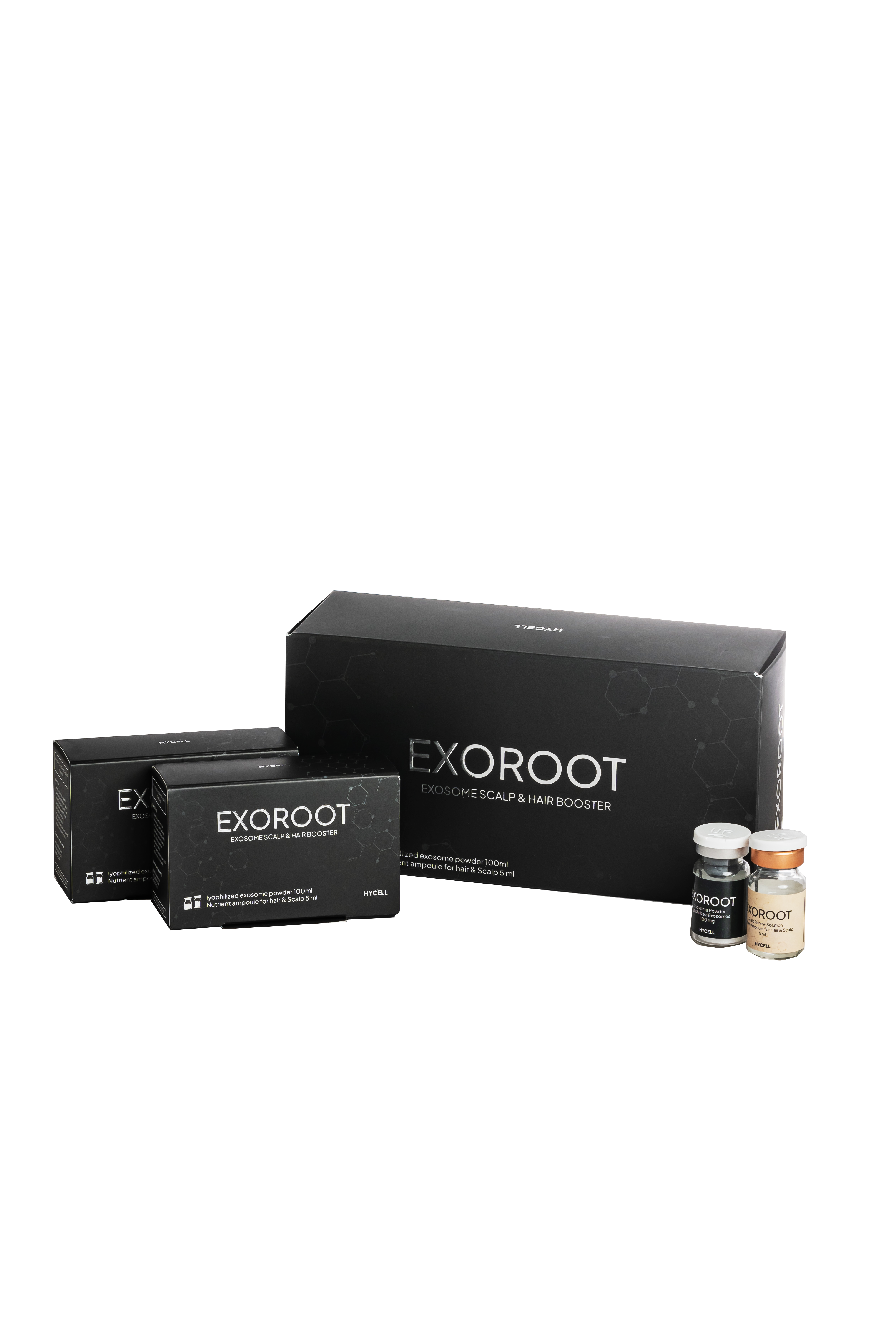 EXO ROOT